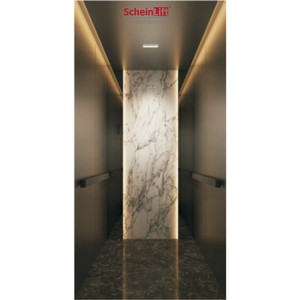 Ascensor Residencial de Lujo ScheinLift, de Acero Inoxidable Negro Titanio, con Control SynMatic, para 2-6 Pisos, Ideal para Villas, Popular en Nigeria - Product Image 2