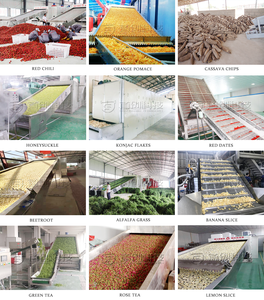 Essiccatore a rete continua da 20 tonnellate di erba Alfalfa Bermuda erba di trifoglio rosso essiccatore per fieno - Product Image 6