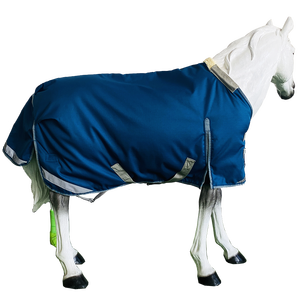 2025 fanfaree New trong nhà ổn định Màu Xanh Mùa đông ấm áp ngựa thảm không thấm nước với logo cao su Ripstop vải - Product Image 2