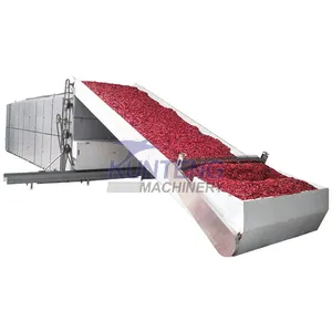 China Industrial Continue Mesh Belt Dyer Pepper Dryer Máquina seca para frutas y verduras