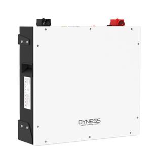 Batería de Litio Dyness de 5kw 10kw LiFePO4 48V 51.2v 100AH, Kit de Sistema Solar Doméstico con Batería de Litio de 5kwh - Product Image 2