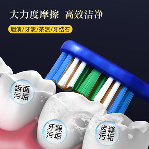 Cepillo de Dientes para Hombre de Primera Calidad, Cerdas Duras DuPont, Cuidadosamente Seleccionadas, Éxitos de Ventas en Comercio Electrónico, Uso Doméstico, Venta Directa al por Mayor - Product Image 6