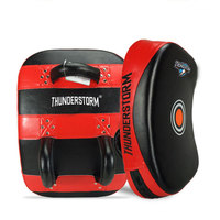 Vente flash : Cible de frappe professionnelle de haute qualité pour Muay Thai et Kick Boxing avec design de protection souple