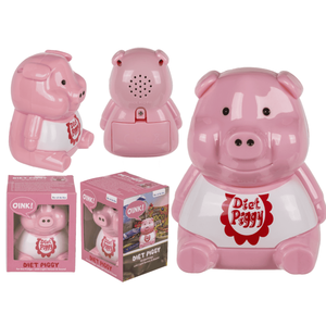 Cochon de régime en plastique pour le réfrigérateur, - Product Image 1