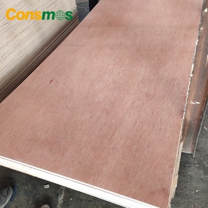 1220*2440mm 12mm 15mm 18mm impermeable WBP pegamento Sapele <span class=keywords><strong>Okoume</strong></span> Bintangor chapa madera contrachapada comercial tableros - Product Image 5
