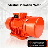 Moteur vibrant électrique triphasé MVE standard européen 220V 380V pour équipement de criblage industriel, minier et de construction