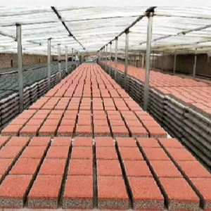 Gạch chuyên nghiệp, bền, thấm nước, thiết kế mới với khả năng hấp thụ nước tuyệt vời, dùng cho đô thị và khu dân cư - Product Image 4