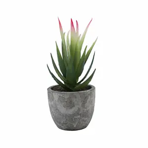 Kunstmatige Vetplanten Potplanten, Diverse Decoratieve Faux Sappige Ingemaakte Nep Cactus Cactussen Planten Met Potten