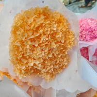 Fleur d'hortensia à grande feuille stabilisée naturelle et préservée en gros pour la décoration de mariage ou de maison