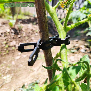 0,5 pulgadas x 50 pies Ajustable resistente rosa y arbusto bloqueo asy-Tie inerlock tie goma jardín árbol planta corbata Correa jardín - Product Image 1