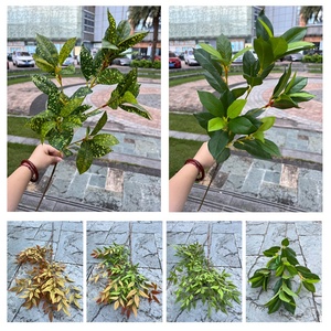 LO-801 Vente en gros de tiges de verdure artificielle personnalisées, styles multiples, fausses plantes vertes, buissons pour centres de table d'allée de mariage - Product Image 3