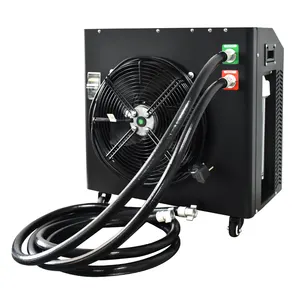 Powerful 220V 110V 2HP Ozone Disinfection Cooling System Heat Pump Cold Therapy Ice Bath Chiller Home Use