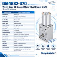 Moteur à engrenages CC Tengli GM4632-370 à double arbre de sortie, 12V 24V, avec boîte de vitesses à vis sans fin métallique autobloquante à 90 degrés pour élévateur et convoyeur