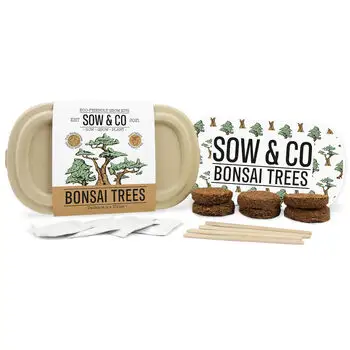 Sow And Co Grow Kits Chilli Bonsai Herbs Or Cactus Herb Plant Grow Kit Diy Natural For Indoor Decoration For Children