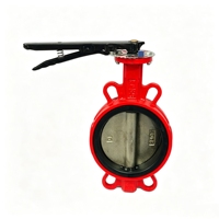 Vanne papillon à joint torique en fonte ductile Wanlian D71X avec revêtement en caoutchouc, personnalisation professionnelle, DN50-DN200, avec poignée