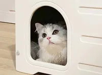 Abri d'hiver confortable pour chat - Maison extérieure isolée et imperméable avec conception coupe-vent