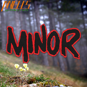 여행 장소 자수 패치에 음악 철 꽃 장미 식물 해골 자수 배지 패치에 바느질 - Product Image 4