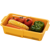 Ensemble de paniers de drainage rétractables en plastique rectangulaires pour le lavage et le rangement des fruits et légumes avec couvercle transparent anti-poussière