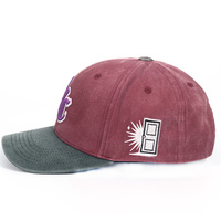 Populaire tweekleurige gewassen katoenen baseballcaps met opdruk, outdoor sportcap
