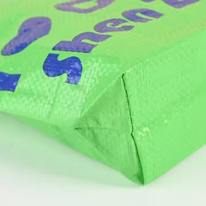 OEM/ODM Custom Duffel Bag Eco-Friendly Laminated PP Woven Reusable Nylon Zipper Closure Shoulder Handle Custom Logo Promotional - Product Image 4