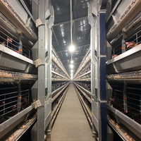 Système d'alimentation de nettoyage automatique du fumier  poulailler équipement de  Type H Cages à poulets pour ferme avicole
