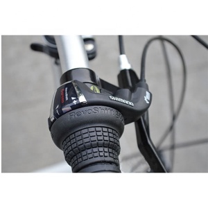 <span class=keywords><strong>20</strong></span> inch mini folding bicycle folding bike bicycle V brake shocking-proof - Product Image 5