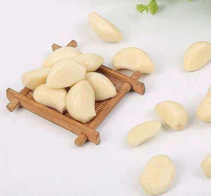 Ajo Blanco Natural Congelado IQF, Ajo Pelado en Cubos, Precio de Fábrica, Ajo Congelado Rápido - Product Image 5