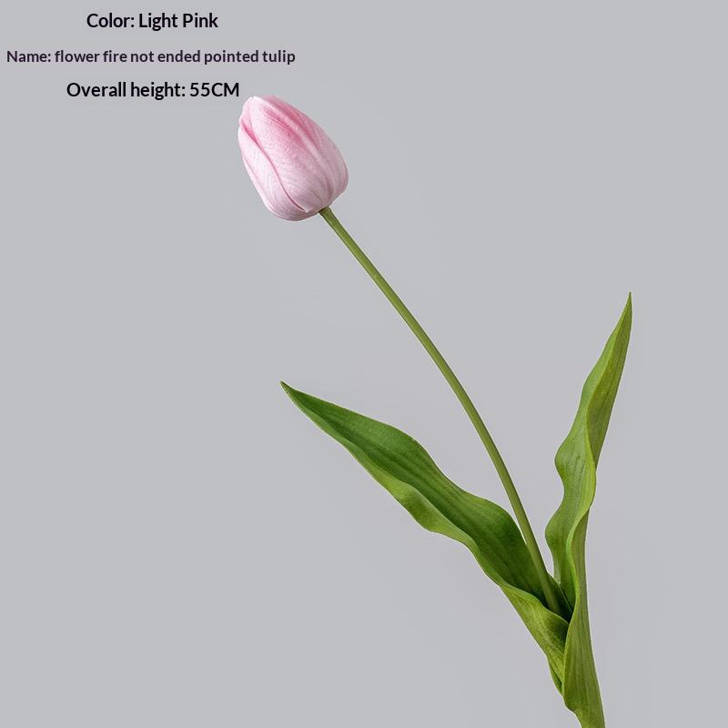 สีชมพูอ่อน