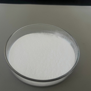 Poudre de probiotiques <span class=keywords><strong>Lactobacillus</strong></span> <span class=keywords><strong>Salivarius</strong></span> lyophilisée de qualité alimentaire 100 milliards d'UFC/g - Product Image 2