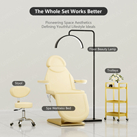 Table de soin électrique moderne pliable, réglable en hauteur, motorisée et inclinable, durable, pour salon, spa, soins du visage et des cils