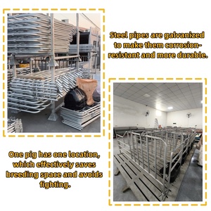 Nueva pluma de gestación de cerdas galvanizada con comedero, casa de cerdos, corrales de gestación de cerdas, cajas para cerdos - Product Image 4