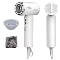 Sèche-cheveux ionique haute vitesse avec moteur BLDC 110000 tr/min, faible bruit et thermostat intelligent