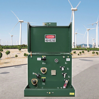 Serie Xinghe para UL CUL certificado monofásico 300 Kva transformador montado en almohadilla 13.8kv 11kv 6kv 10kv entrada 380V/440V salida