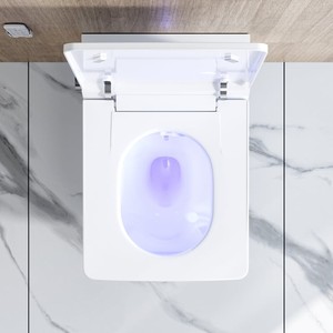 Bathroom Heat <strong>Seat</strong> Elongated <strong>Rectangular</strong> Shape Built-in Ceramic Tank Smart <strong>Toilet</strong> Mounted to Wall - Product Image 3