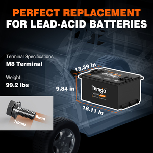 Batterie LiFePO4 TEMGO US Stock 48V 51.2V 100Ah, plus de 5000 cycles, pour voiturette de golf, pack de batteries lithium-ion - Product Image 2