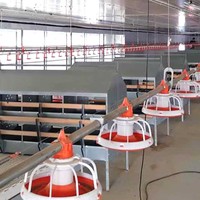 Nid de volaille Offre Spéciale nichoirs de poulailler simples en métal nichoirs de poulailler pour la ponte d'oeufs de poulailler de volaille