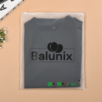 Sac en plastique givré à fermeture éclair pour vêtements avec Logo, sac d'emballage étanche à glissière, sac en plastique à glissière de stockage personnalisé