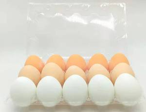 Huevos falsos para niños, Juguetes DIY, conchas de plástico de simulación pintadas, Juguetes Divertidos para enseñanza de guardería - Product Image 3