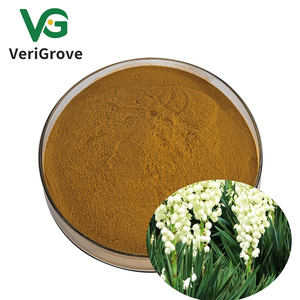 100% tinh khiết tự nhiên Yucca Essence chiết xuất bột Yucca schidigera chiết xuất từ rễ - Product Image 2
