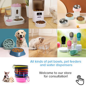 3in1 Pet su besleyici otomatik su şişesi kase ile plastik kedi çift Pet yemek kasesi çanaklar - Product Image 3