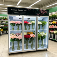 Réfrigérateur vitrine à fleurs en verre, poignée double, logo personnalisé, couleur éclatante, Aura, refroidissement par air, pour magasin de détail