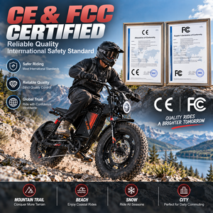 Prix de gros, batterie au lithium 48V, 20 pouces, pour adultes, vélo de montagne imperméable, 400W, moteur sans balais, vélo électrique avec protection contre l'eau - Product Image 5