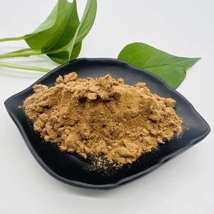 Supplement Materiaal <span class=keywords><strong>Momordica</strong></span> <span class=keywords><strong>Charantia</strong></span> Bittere Meloen <span class=keywords><strong>Extract</strong></span> 10% Charantinepoeder - Product Image 5