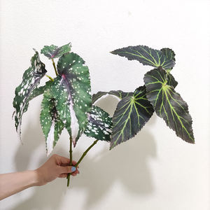 Vente en gros de feuilles artificielles en soie avec revêtement Real Touch Feuilles artificielles de bégonia pour la <span class=keywords><strong>d</strong></span>écoration murale de maison <span class=keywords><strong>jardin</strong></span> mariage - Product Image 2