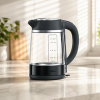 Bouilloire Électrique en Verre à Ébullition Rapide PENMARCH – Prix Usine, Ventes Flash – Idéale pour la Cuisine et la Maison