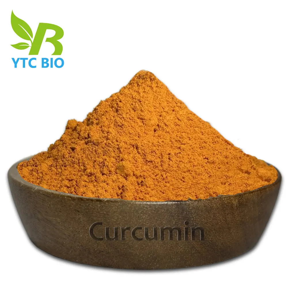 Estratto organico di Curcuma Longa 95% curcumina