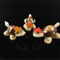 Souvenirs touristiques de coquillages naturels : Tortue Docteur et Conque Naturelle