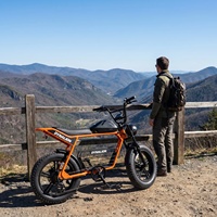 Bicicleta Eléctrica Todoterreno con Llantas Anchas y Batería Extraíble, Bicicleta Eléctrica Vintage de Doble Asiento para Senderos de Montaña y Caminos de Tierra