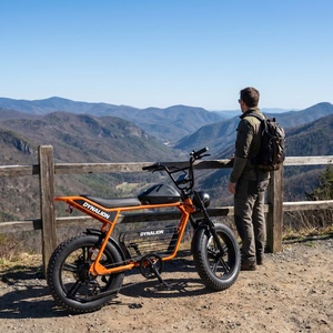 Bicicleta Eléctrica Todoterreno con Llantas Anchas y Batería Extraíble, Bicicleta Eléctrica Vintage de Doble Asiento para Senderos de Montaña y Caminos de Tierra - Product Image 4