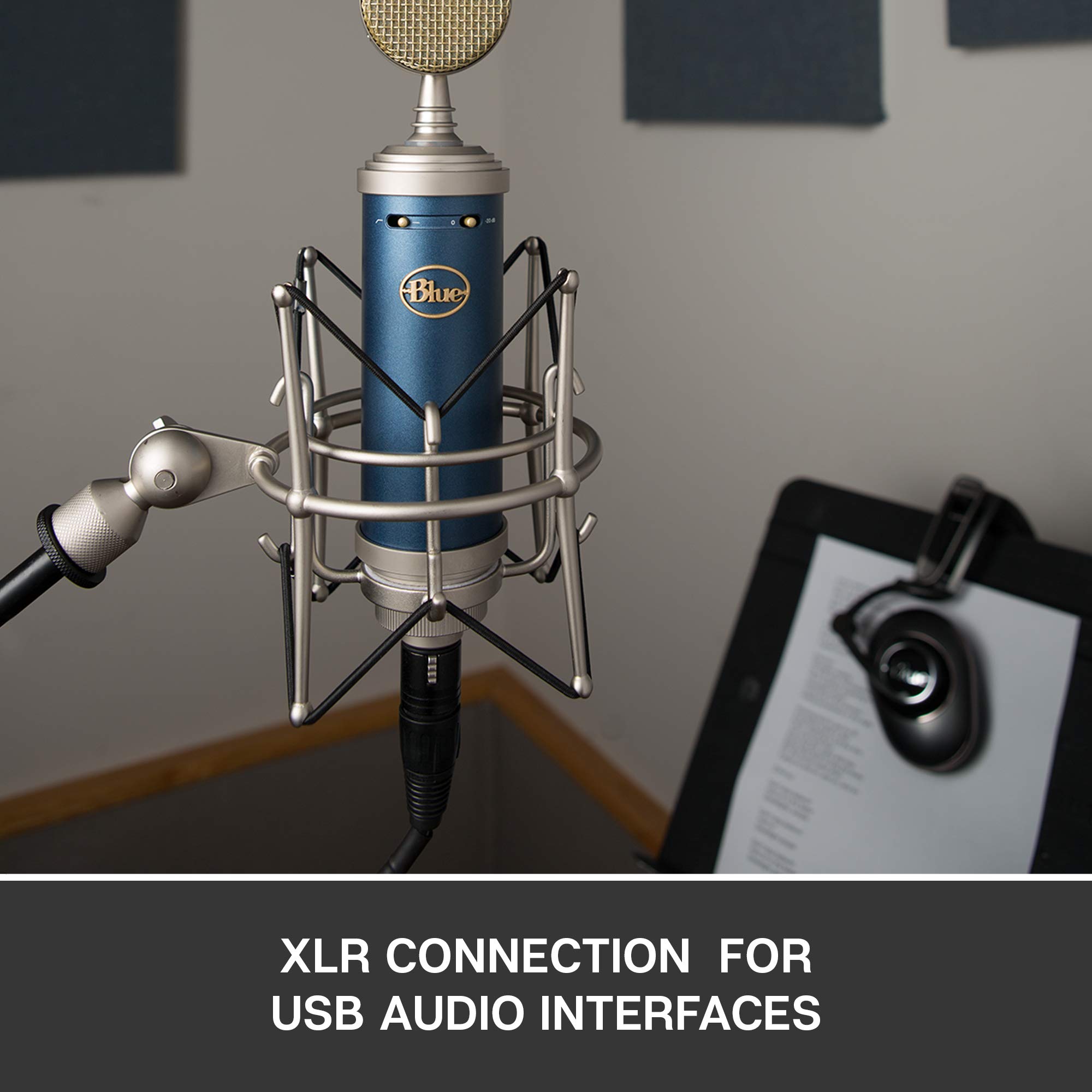 Blue Bluebird SL Cardioid Condenser Microphone for Streaming